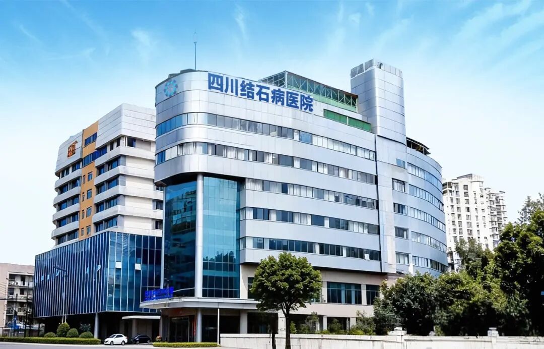锚定“技术+服务”双深耕：四川结石病医院入选2026成都健康服务优秀案例，曾莉院长圆桌论坛分享专科品牌锻造之道(图8)